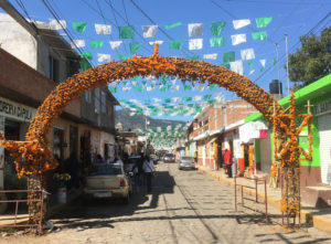 Catrinas Mexicanas Chile - mercado capula