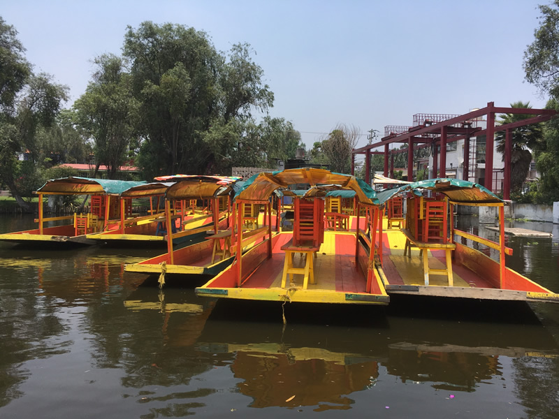 Catrinas Mexicanas Chile - Xochimilco 2